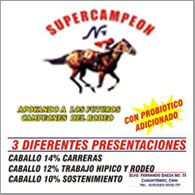 Supercampeon